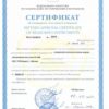 sert_p3-33m